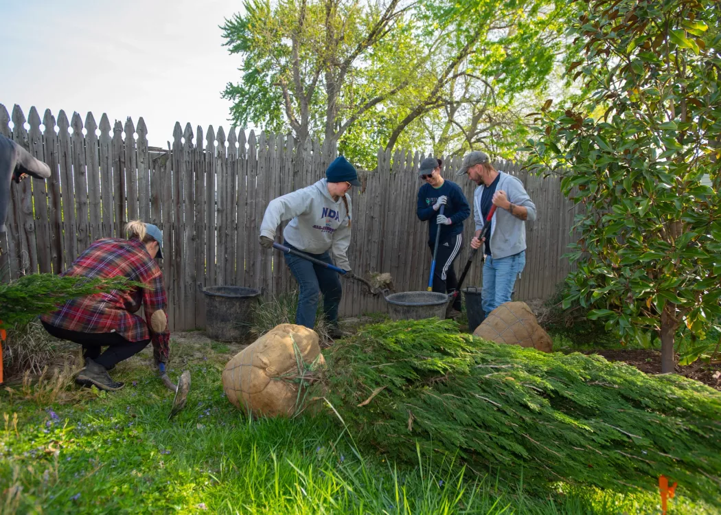 Envirome Green Heart Project, tree & shrub landscaping at neighborhood houses