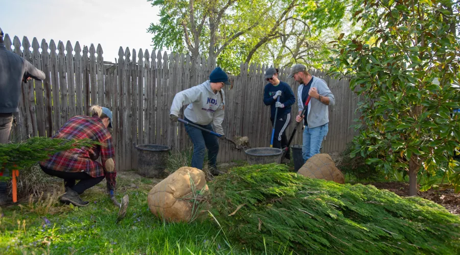 Envirome Green Heart Project, tree & shrub landscaping at neighborhood houses