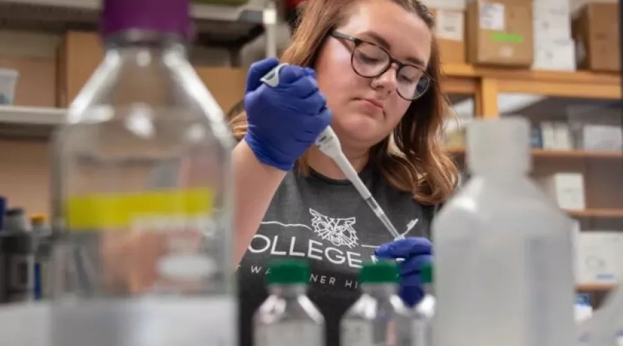 Makenzie Kuhns spent six weeks this summer working with UofL faculty and researchers to learn more about environmental issues in Louisville.